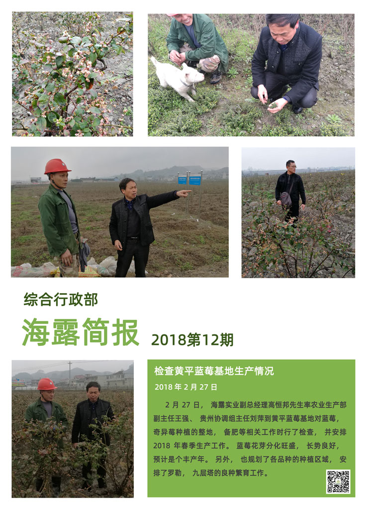 首页- 人生就是博中国官方网站