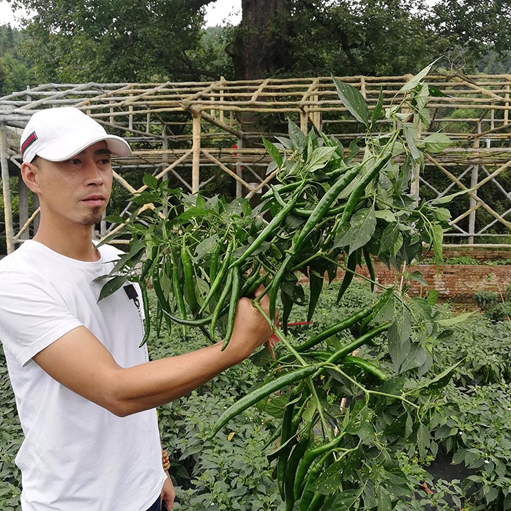 首页- 人生就是博中国官方网站
