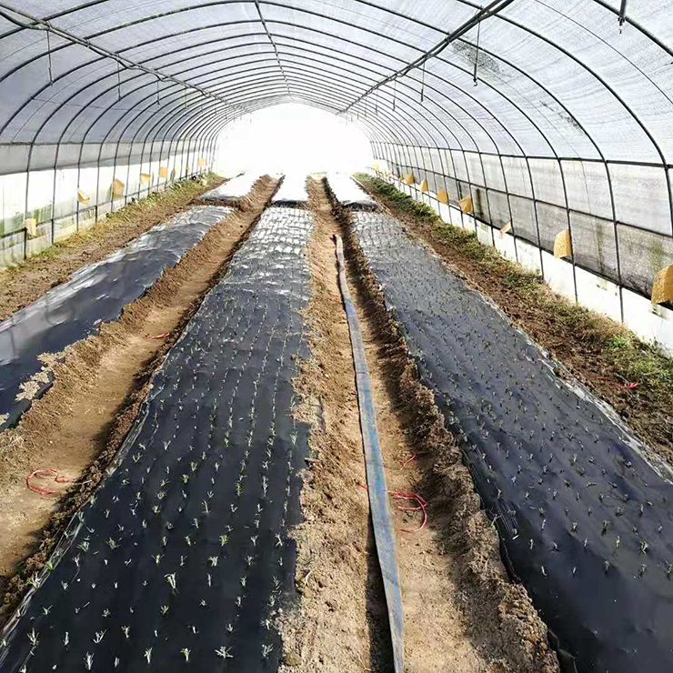 首页- 人生就是博中国官方网站