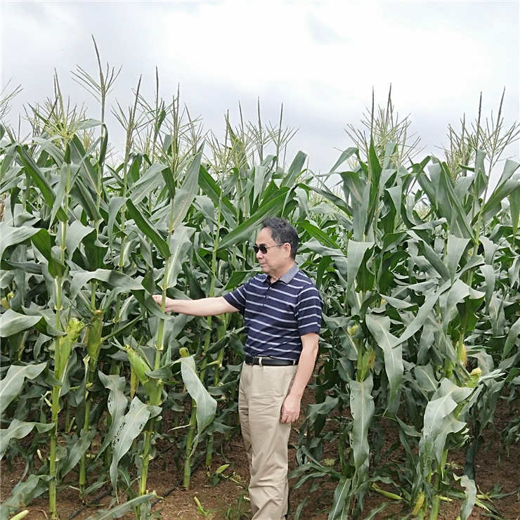 首页- 人生就是博中国官方网站