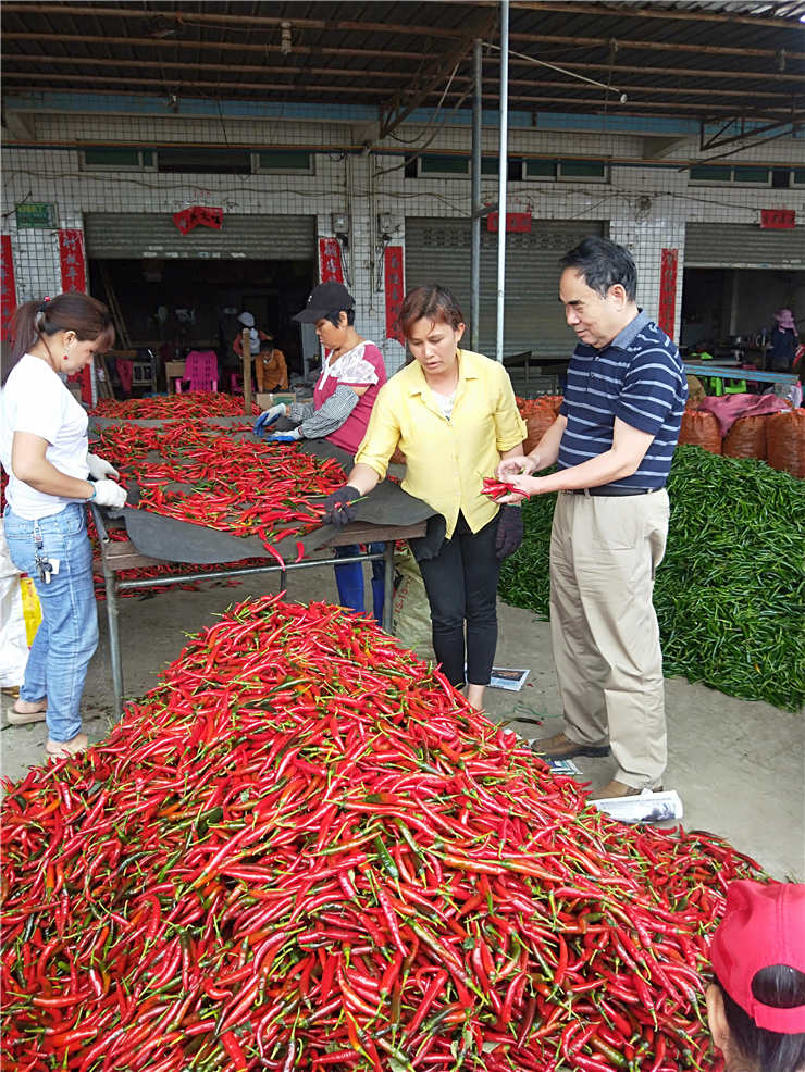 首页- 人生就是博中国官方网站