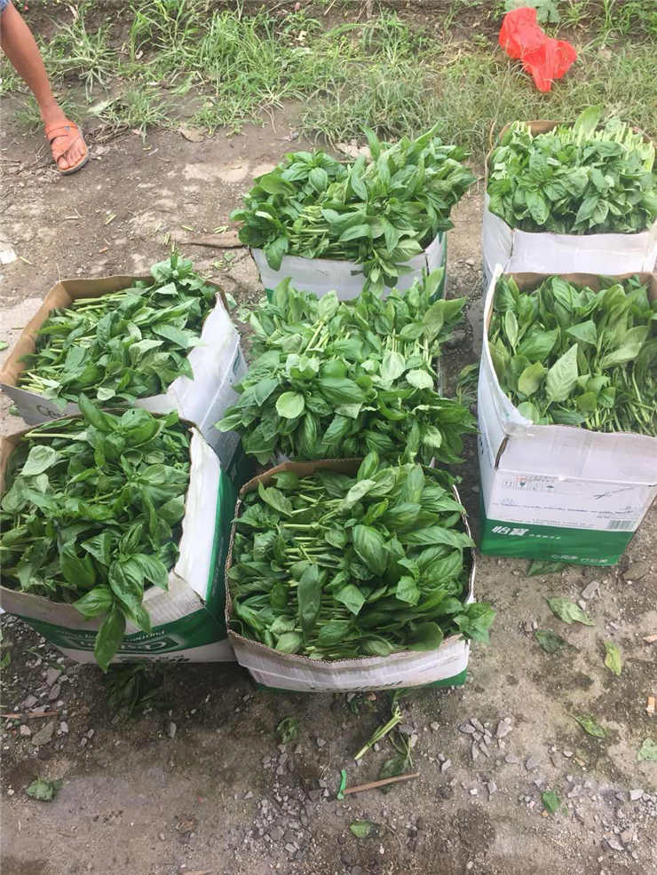 首页- 人生就是博中国官方网站