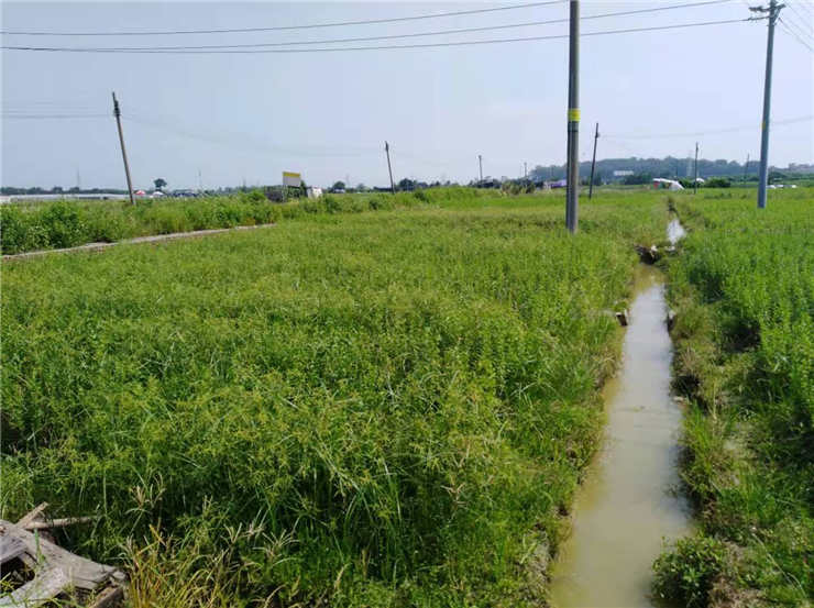 首页- 人生就是博中国官方网站