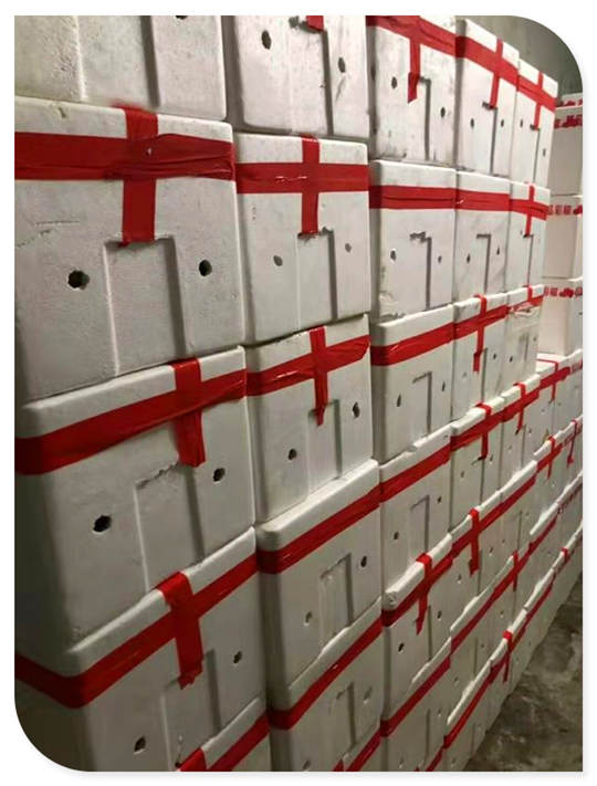 首页- 人生就是博中国官方网站