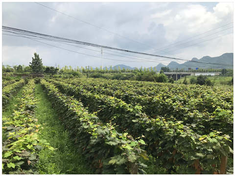 首页- 人生就是博中国官方网站