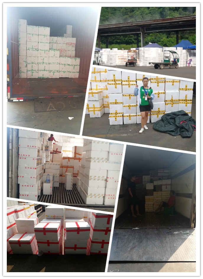 首页- 人生就是博中国官方网站