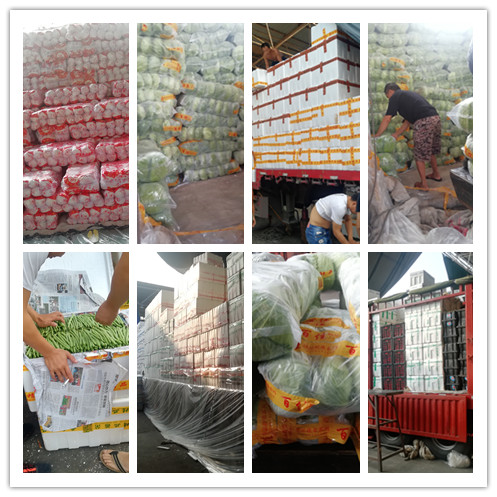 首页- 人生就是博中国官方网站