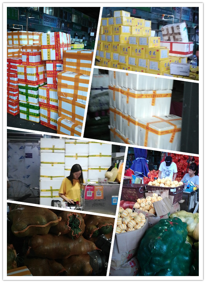 首页- 人生就是博中国官方网站