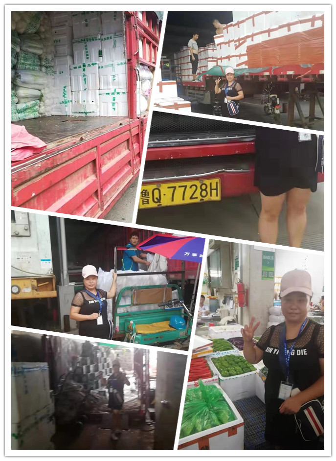 首页- 人生就是博中国官方网站