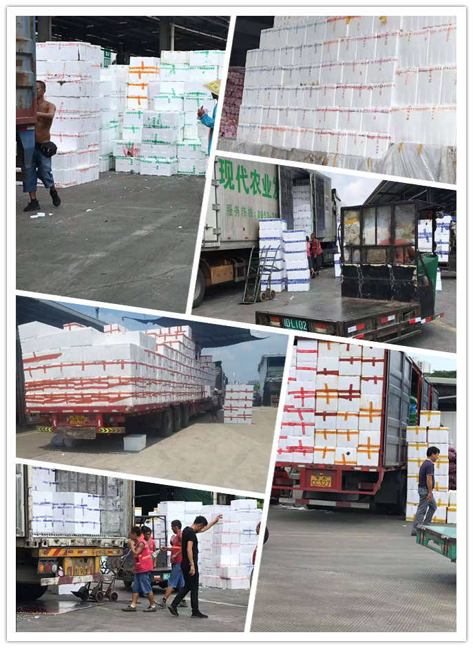 首页- 人生就是博中国官方网站