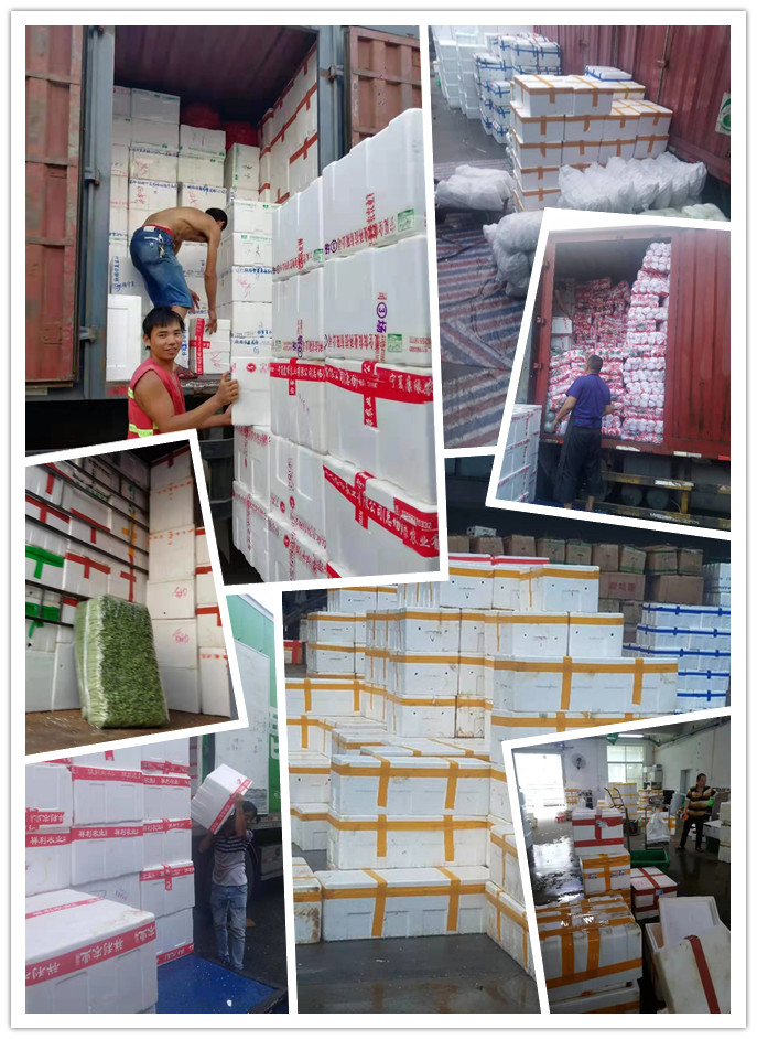 首页- 人生就是博中国官方网站