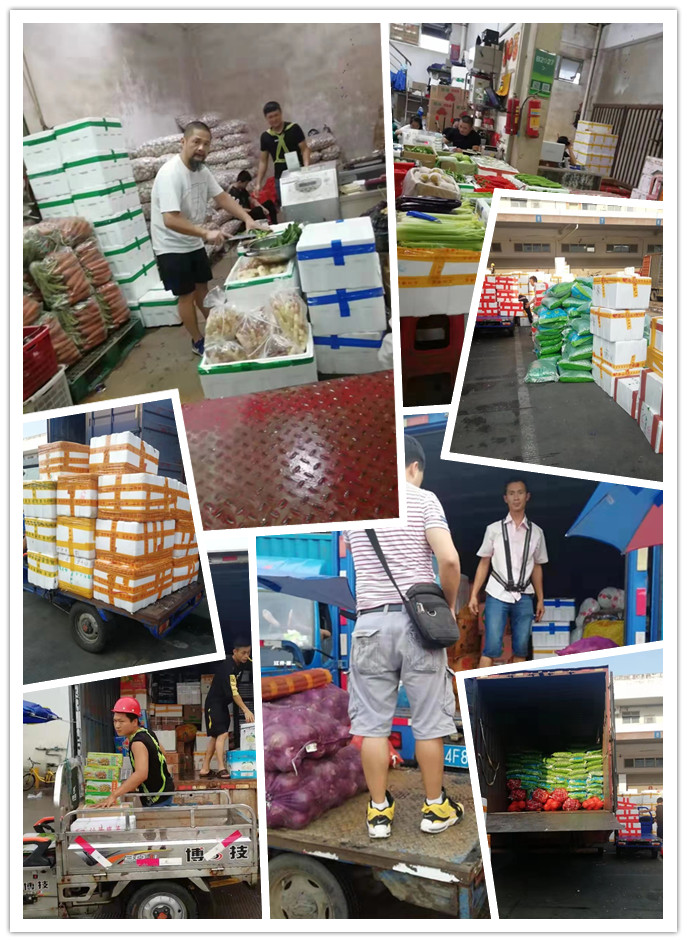 首页- 人生就是博中国官方网站