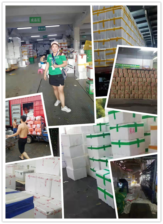 首页- 人生就是博中国官方网站