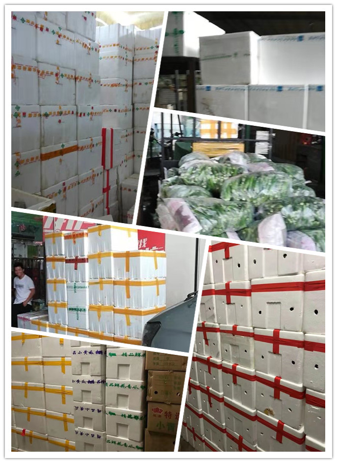 首页- 人生就是博中国官方网站