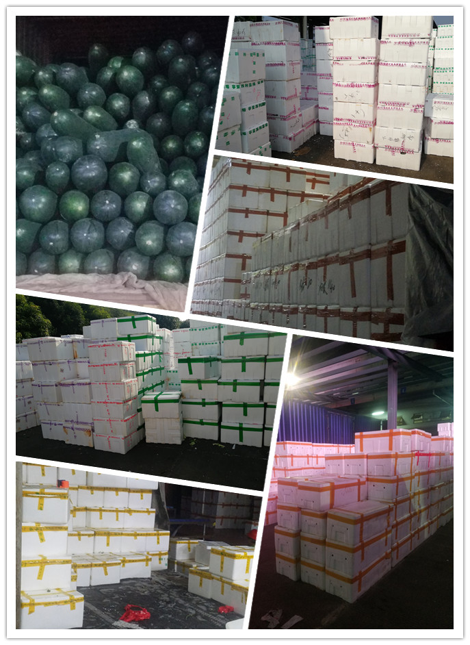 首页- 人生就是博中国官方网站