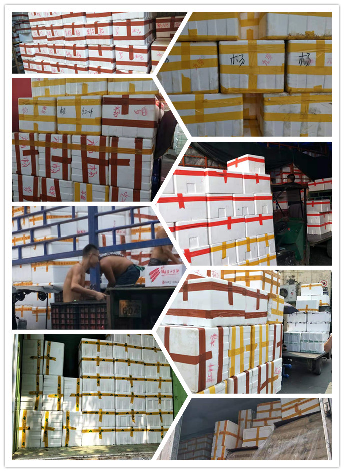 首页- 人生就是博中国官方网站