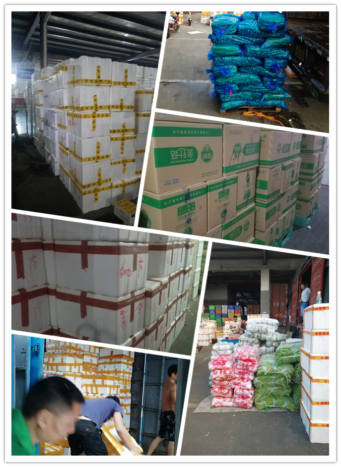 首页- 人生就是博中国官方网站