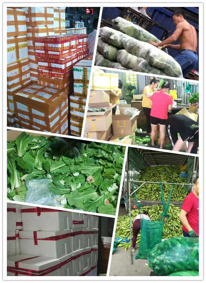 首页- 人生就是博中国官方网站