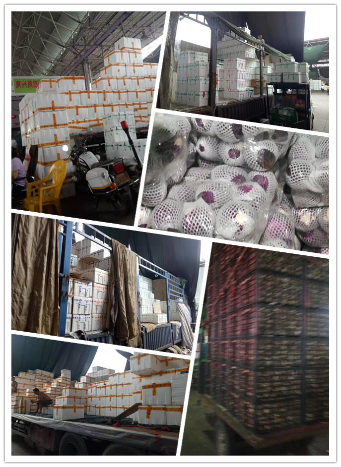 首页- 人生就是博中国官方网站