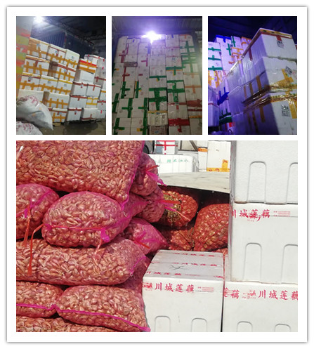 首页- 人生就是博中国官方网站