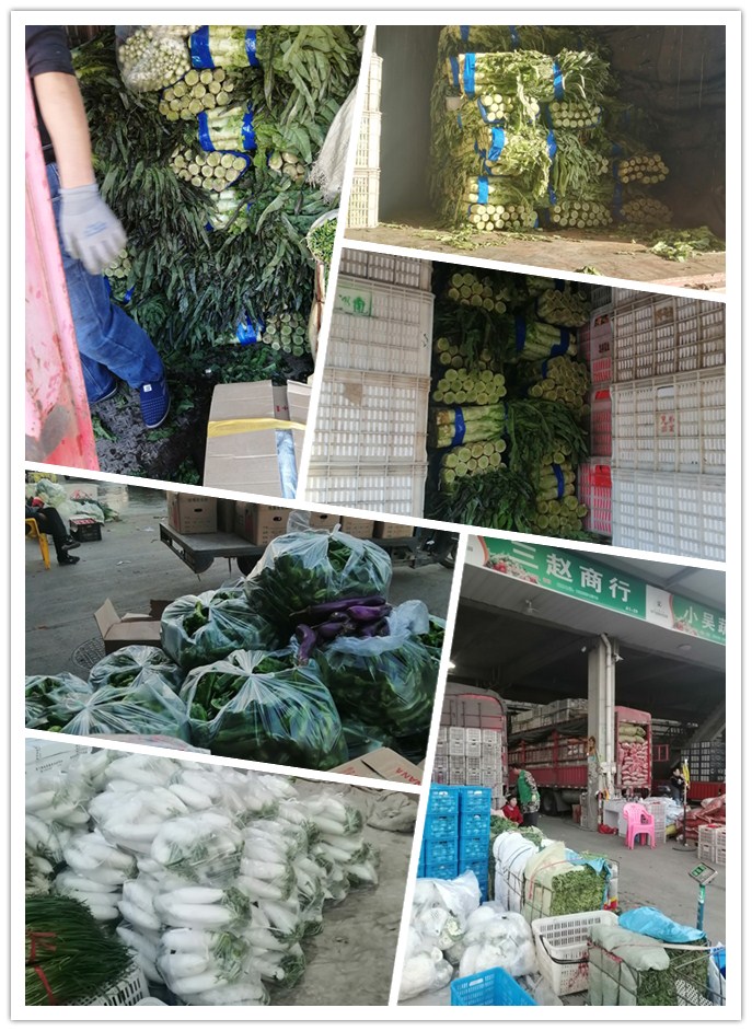 首页- 人生就是博中国官方网站