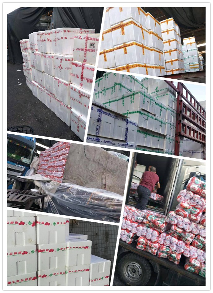 首页- 人生就是博中国官方网站