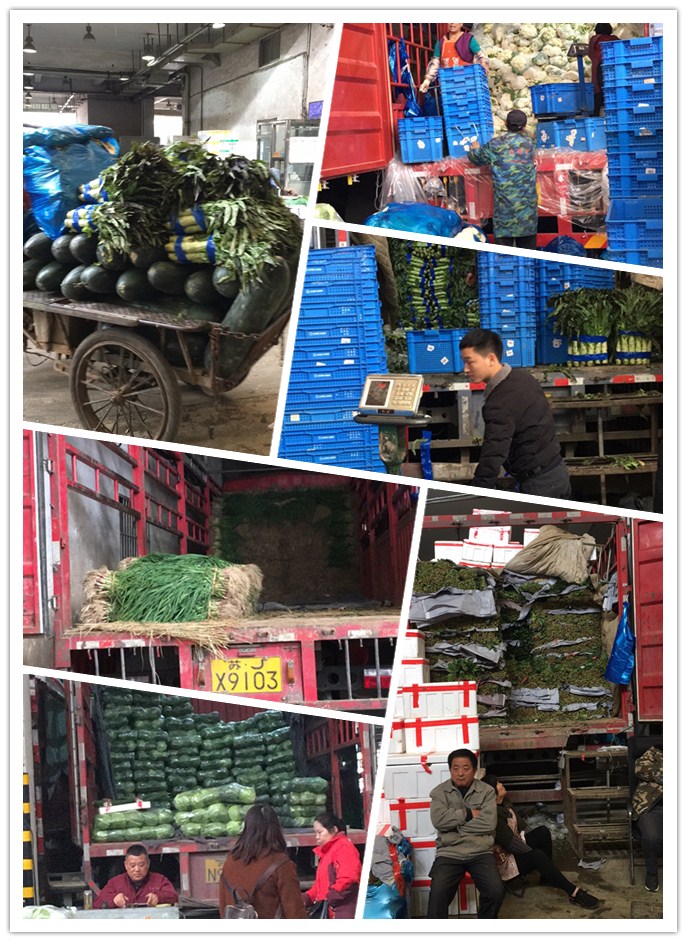 首页- 人生就是博中国官方网站