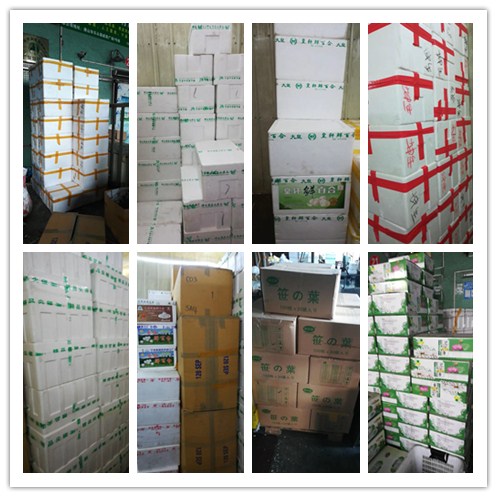 首页- 人生就是博中国官方网站