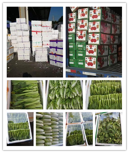 首页- 人生就是博中国官方网站