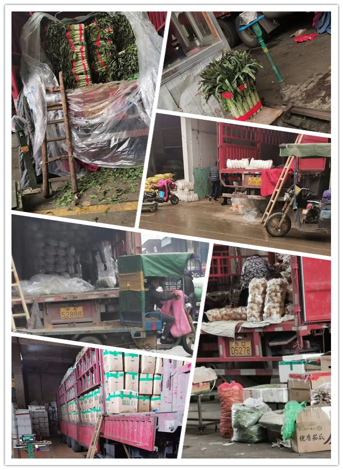 首页- 人生就是博中国官方网站