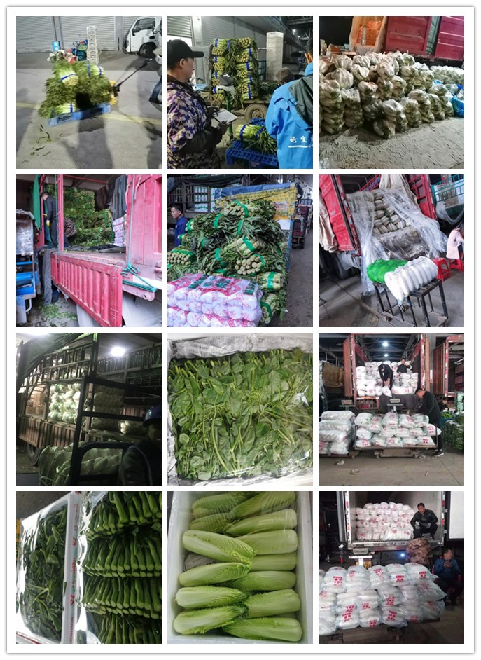 首页- 人生就是博中国官方网站