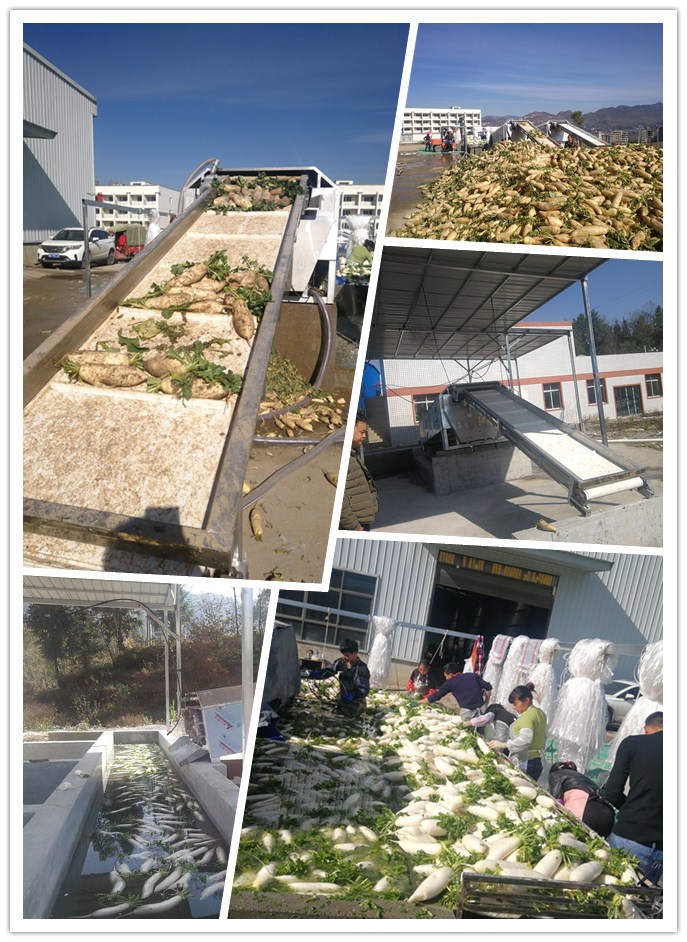 首页- 人生就是博中国官方网站