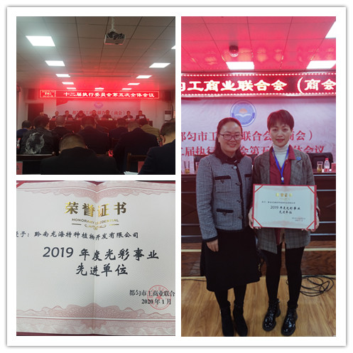 首页- 人生就是博中国官方网站