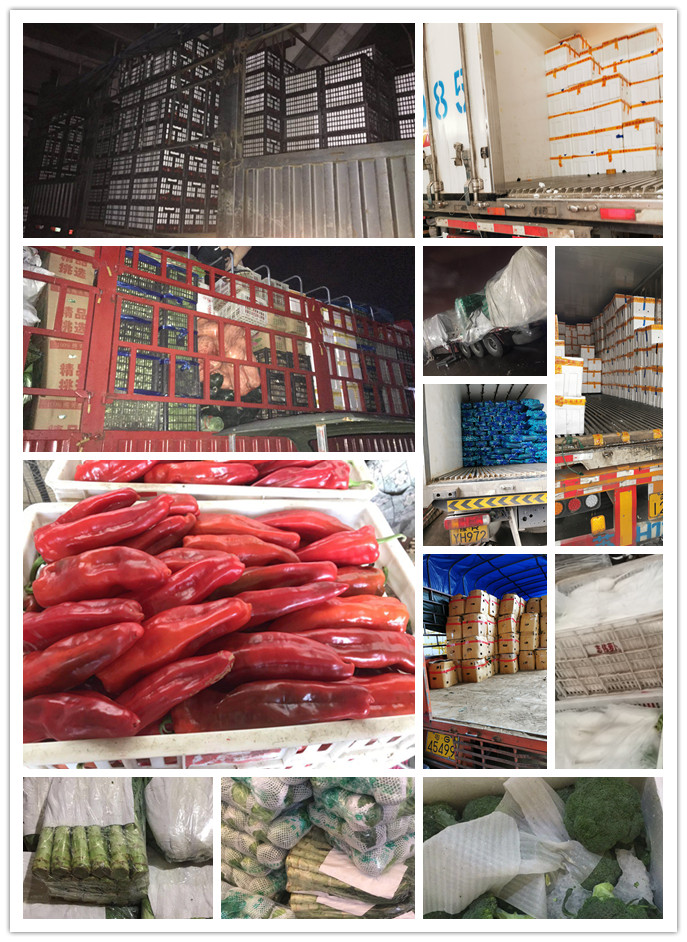 首页- 人生就是博中国官方网站