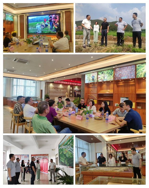 首页- 人生就是博中国官方网站