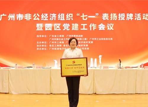 标杆引领，荣誉升级！集团党支部荣膺广州市非公有造经济组织“双强六好”标