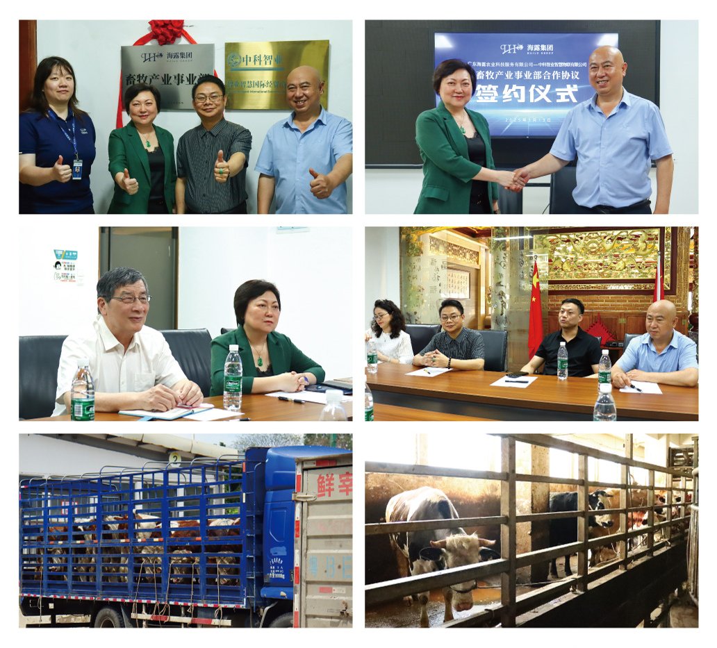 首页- 人生就是博中国官方网站